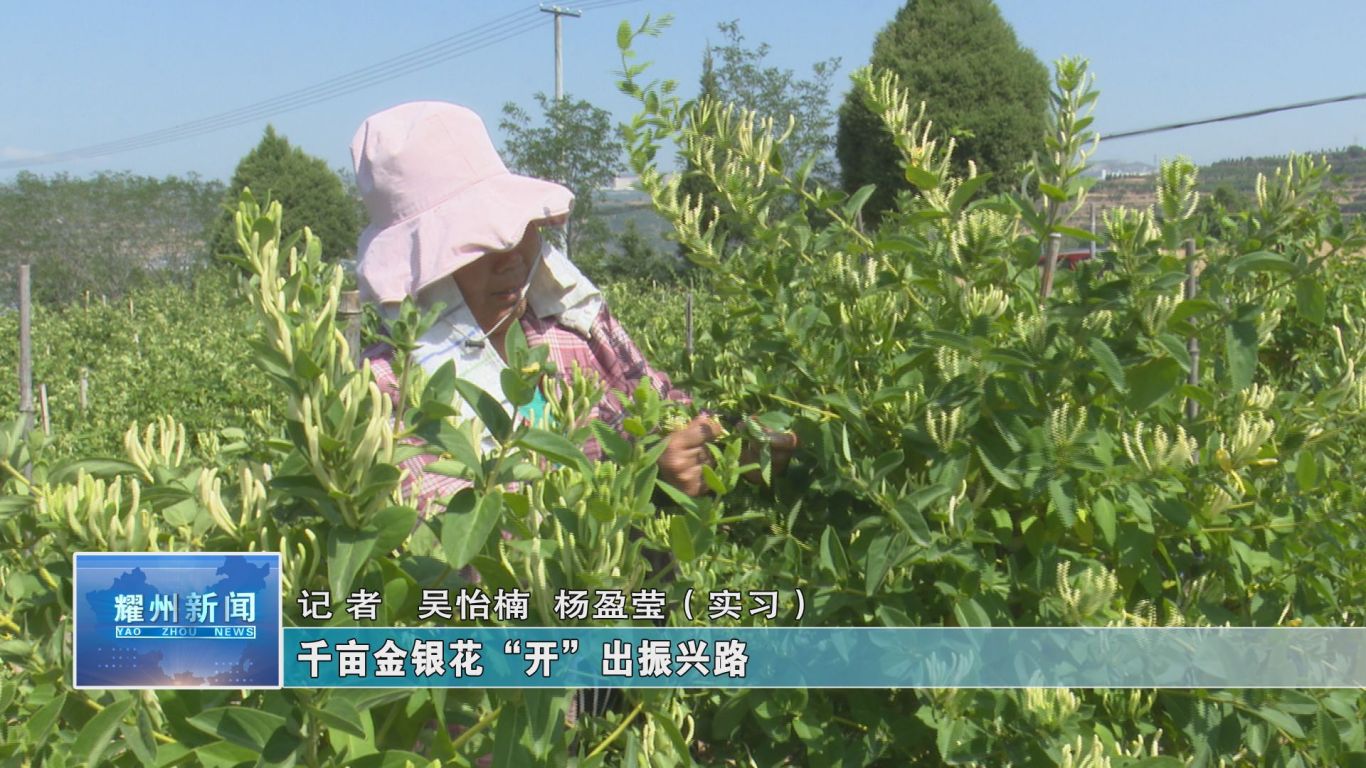 社会责任3.jpg